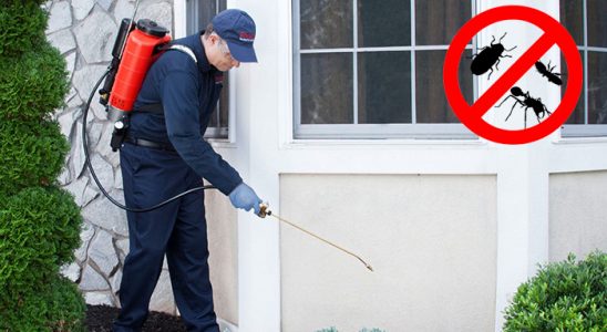 Milas Kemirgen İlaçlama böcek ilaçlama ve haşere kontrolü — ilaclama-tr.com